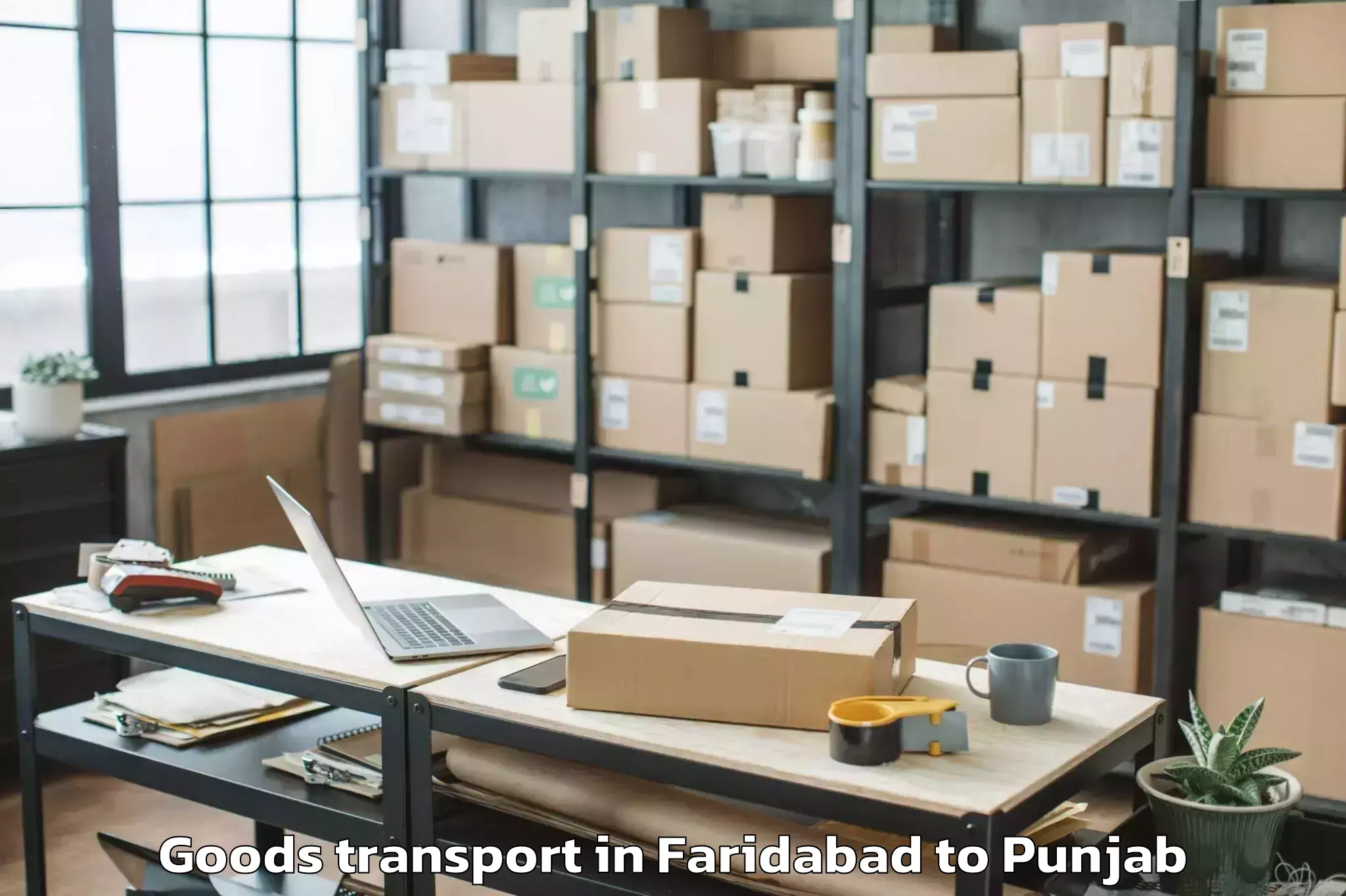 Professional Faridabad to Patera Goods Transport